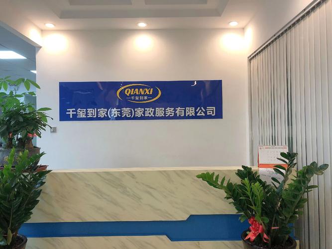 家政服务 从“帮把手”到品质生活的刚需引擎